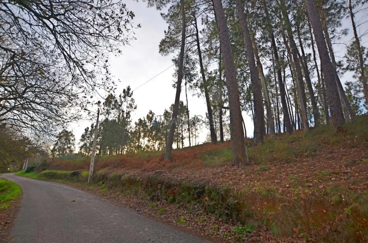 Terreno rustico in vendita a CARREGAL ABAIXO, imagen 19