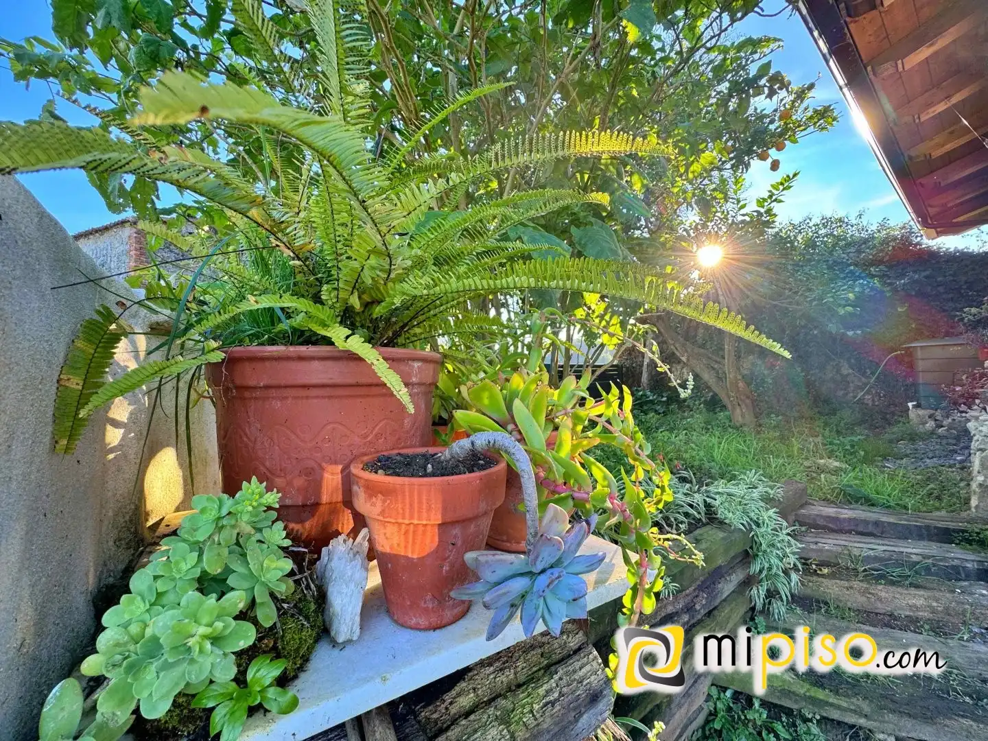 Jardí de Casa o xalet en venda en Arnuero