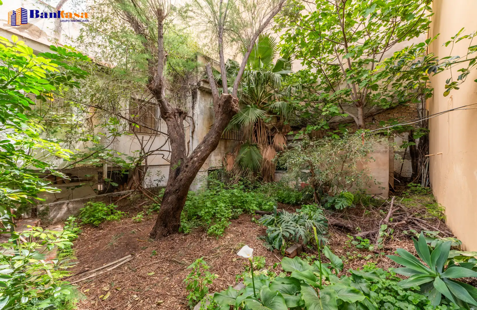 Garden of Residential for sale in Málaga Capital