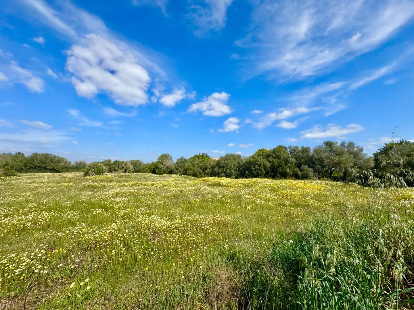 Residential land for sale in parcela 27 del polígono 22. Campos, imagen 14