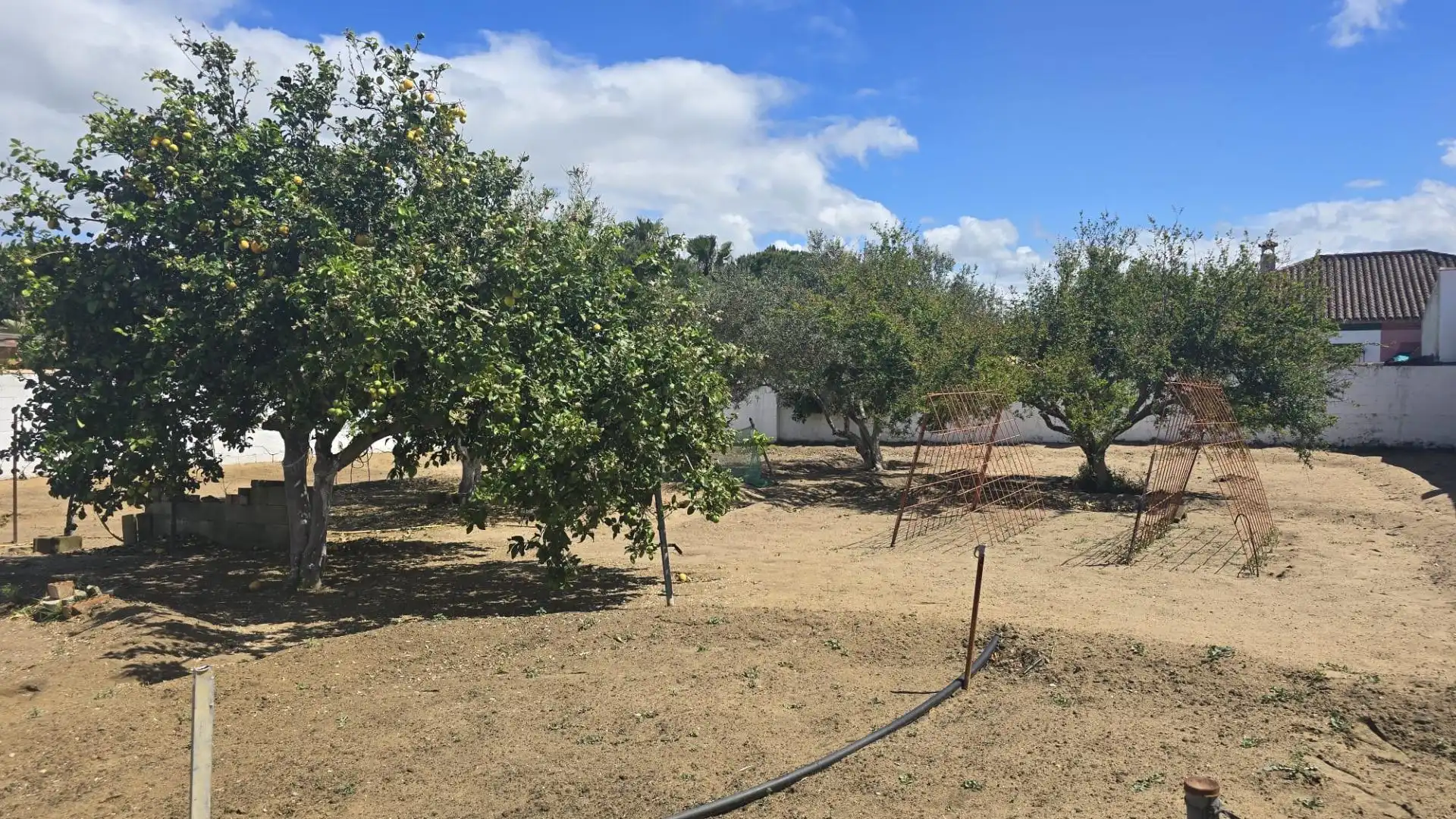 Residential for sale in Pelagatos - Pago del Humo