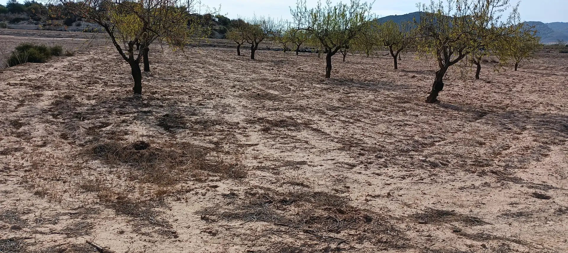 Rustikales Grundstück zum Verkauf in Carretera a Mazarrón 205