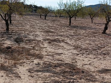 Terreno rustico in vendita a Carretera a Mazarrón 205