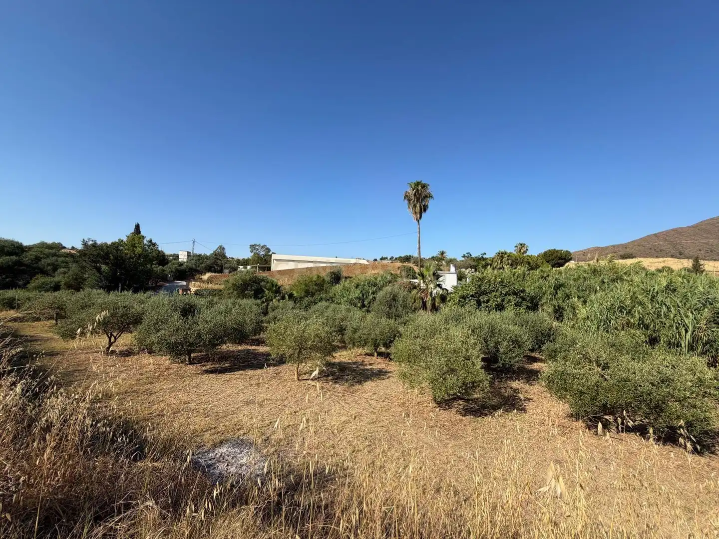 Terreni e lotti in vendita a Polígono 14 Parcela 58 ENTRE RIOS. MIJAS (MÁLAGA), imagen 12
