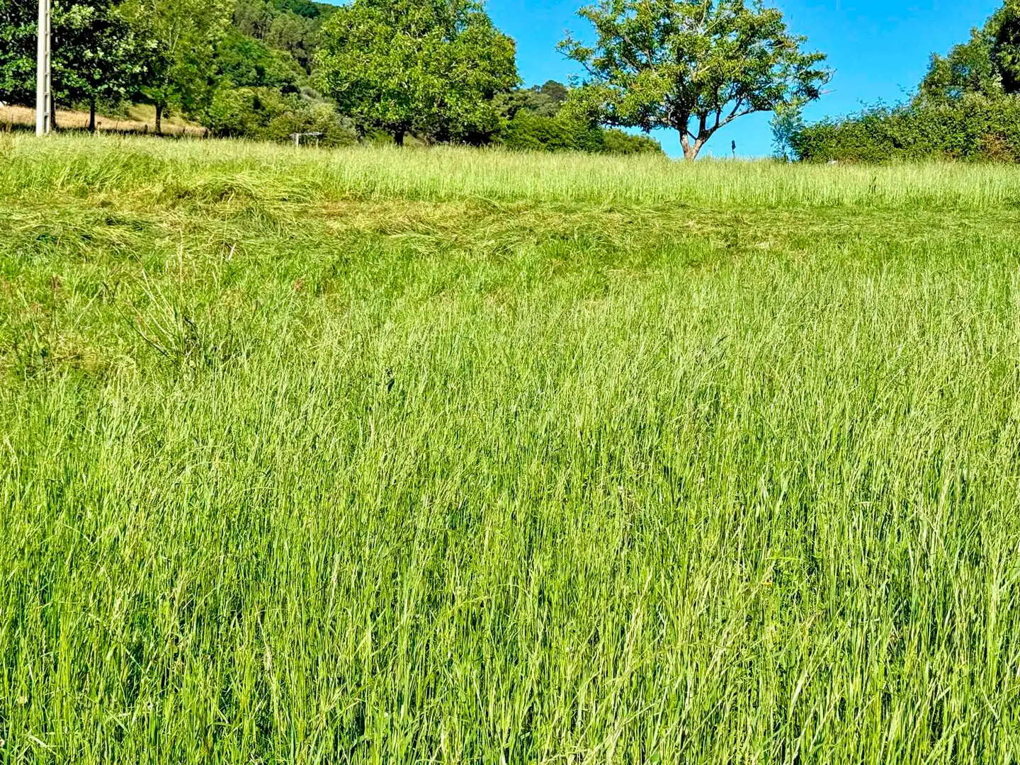 Terreno en venta en Medio Cudeyo