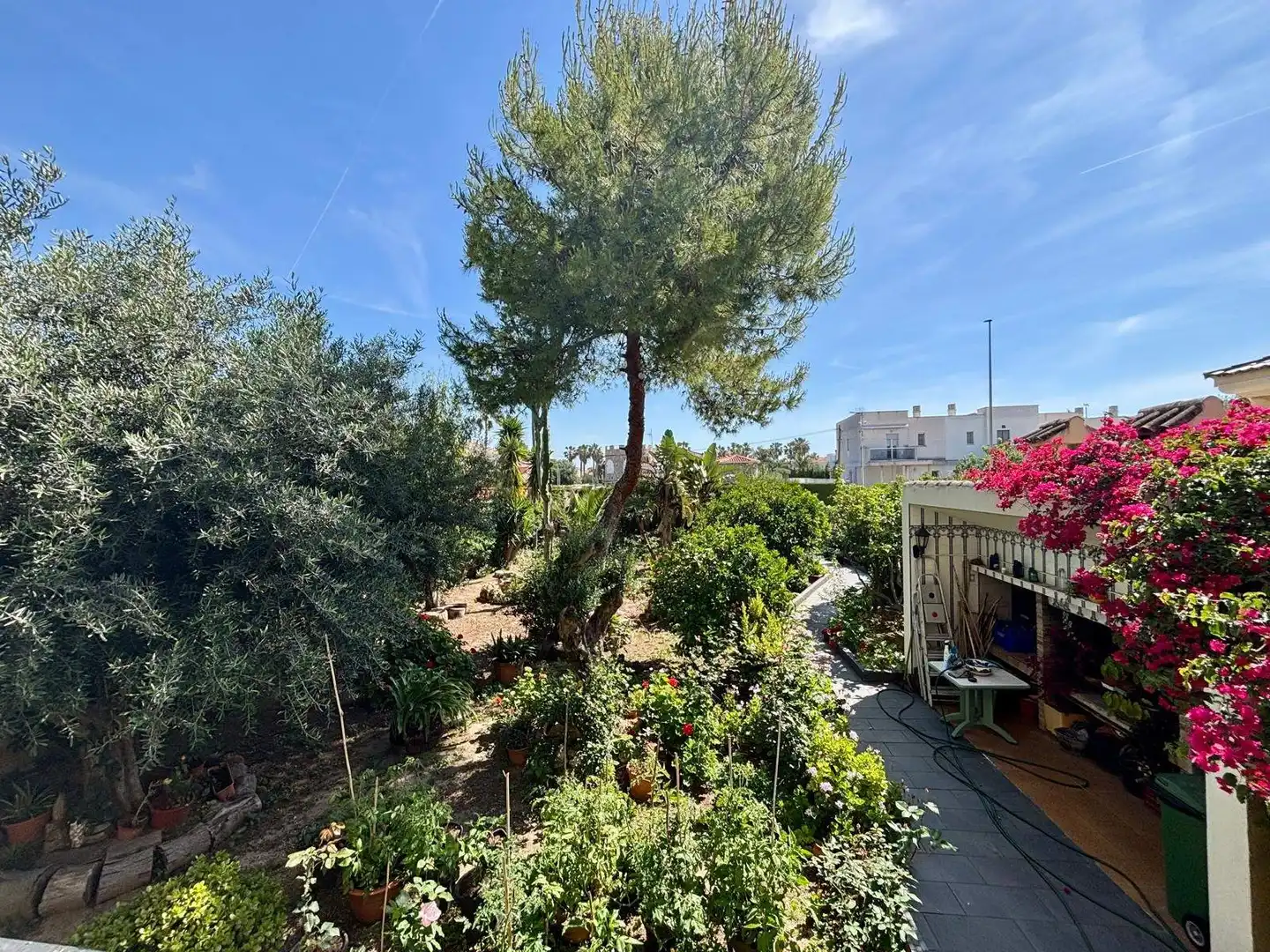 Garden of Houses for sale in Daimús  with Private garden, Terrace and Storage room
