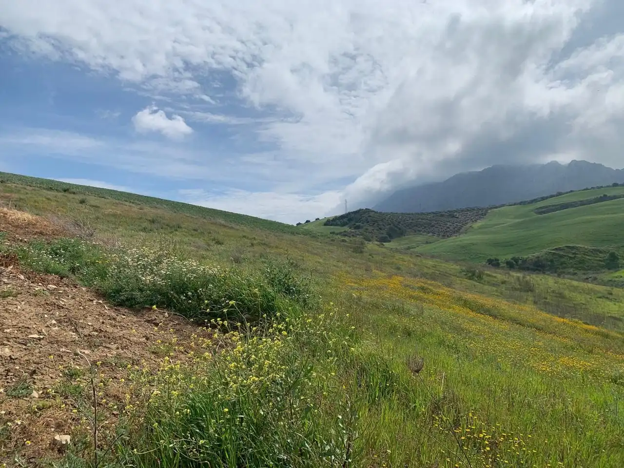 Terreny rústic en venda a Valle de Abdalajís