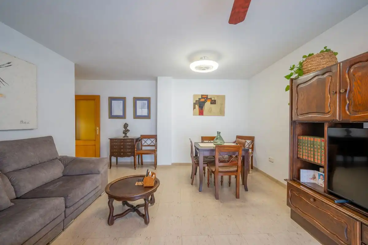 Piso con ascensor en venta en Avenida Miguel Hernández, imagen 4