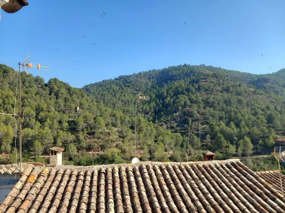 Vista exterior de Casa o chalet en venta en Sueras / Suera con Terraza