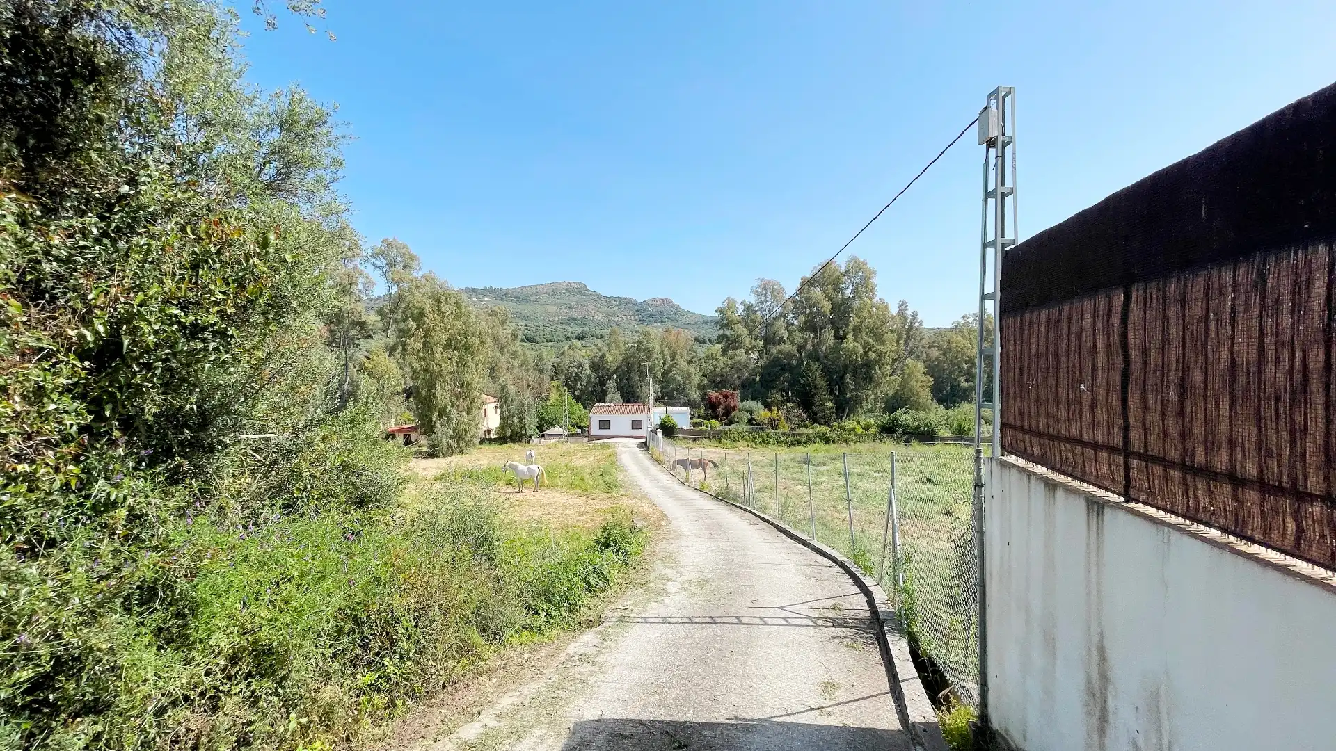 Houses for sale in Guaro