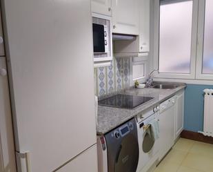 Kitchen of Flat to rent in Bilbao   with Heating, Parquet flooring and Terrace