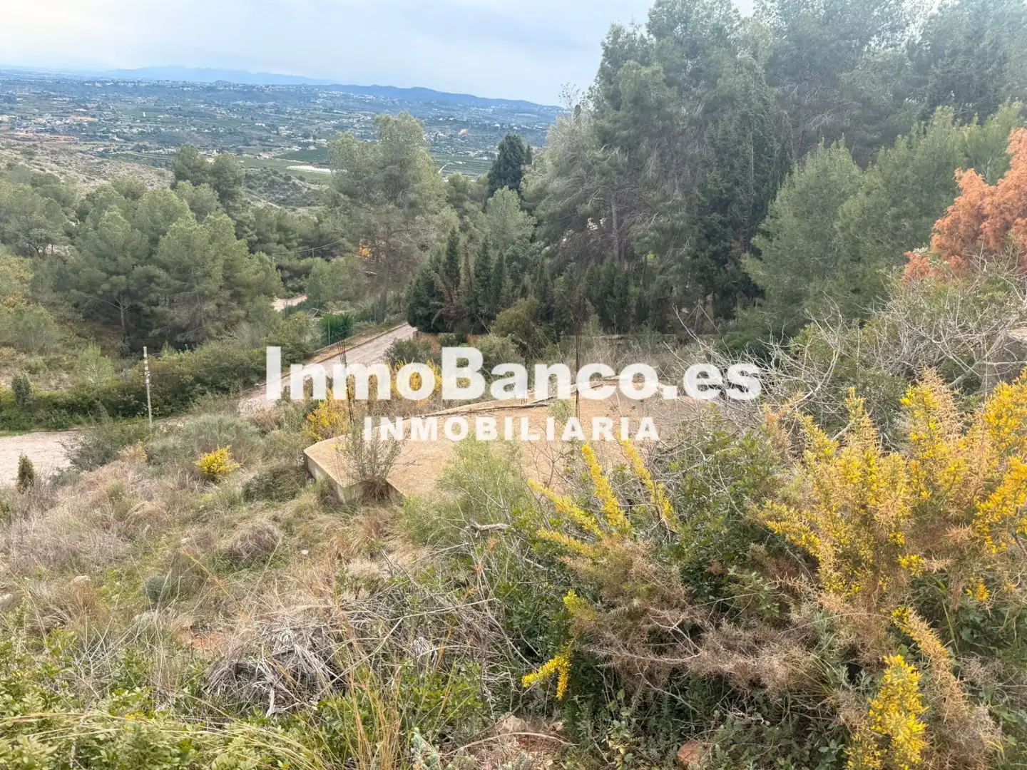 Residential land for sale in Calle Félix Pizcueta 67, imagen 11