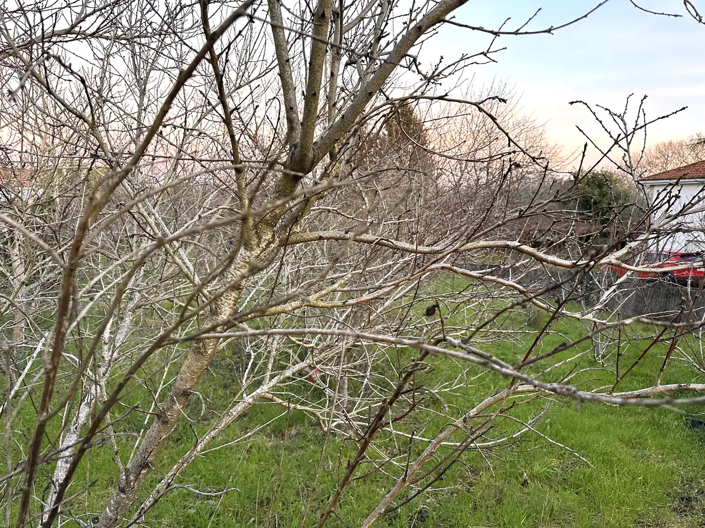 Terrains et parcelles à vendre à Cacheiras, imagen 2