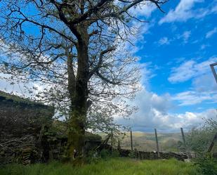 Exterior view of Land for sale in O Irixo
