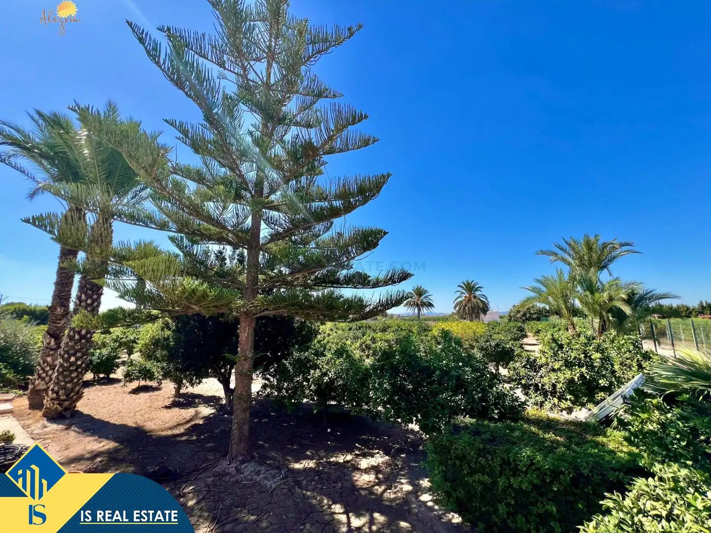 Detached house with pool for sale in Almoradí, imagen 22