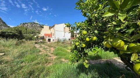 Solar con Proyecto de Edificación en Caimari., immagine 3