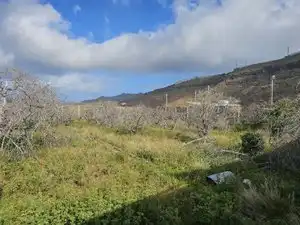 Residencial en venta en La Aldea de San Nicolás 