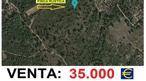 Foto 4 de Terreno en venta en Ap-7, El Casalot, Mont-roig del Camp