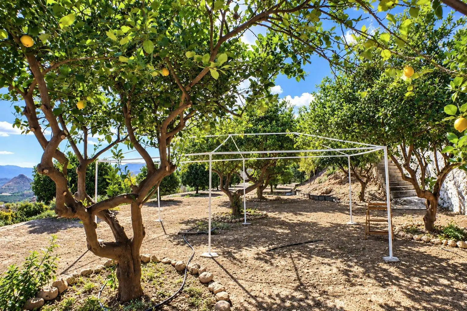 Maison rustique à vendre à Íllar, imagen 22