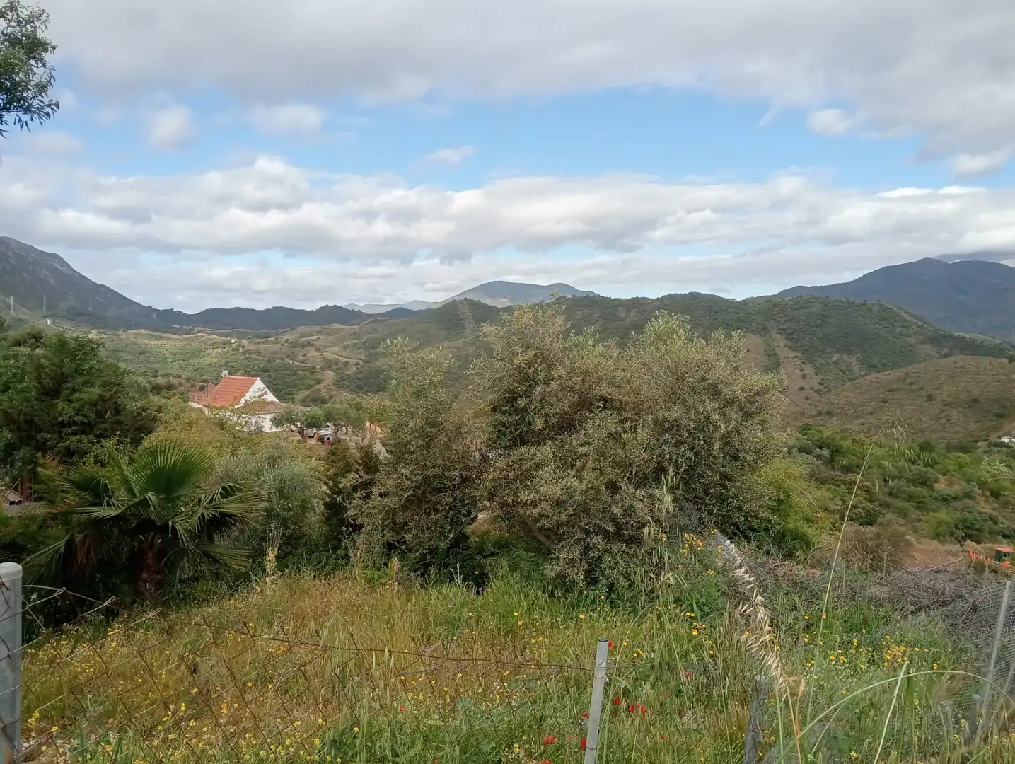 Terreno rustico in vendita a Monda, imagen 14