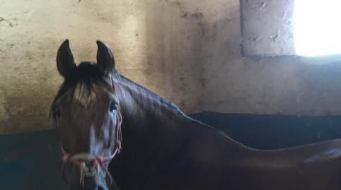 Photo 3 of Country house for sale in Calle Licenciado Carrion, 1, Aracena, Huelva