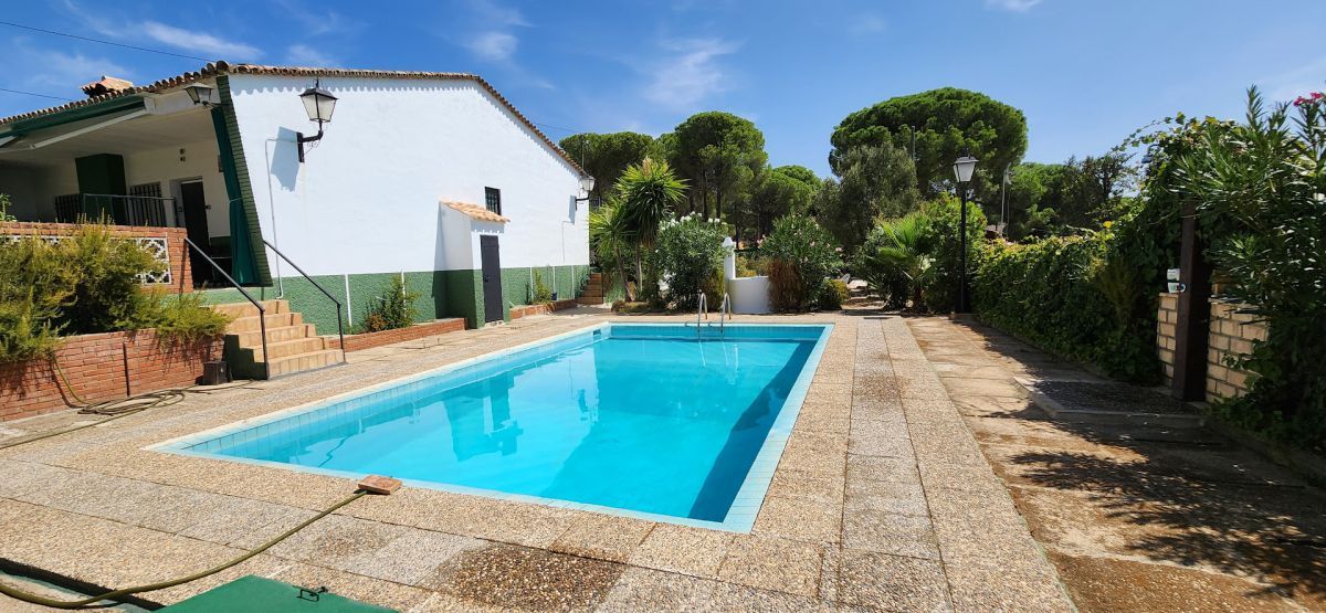 Piscina de Finca rústica en venta en Valverde del Camino