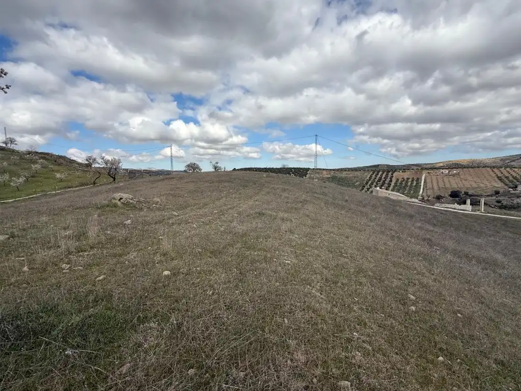 Terreny residencial en venda a Poligono 22 Paraje 13 B Molina, imagen 4