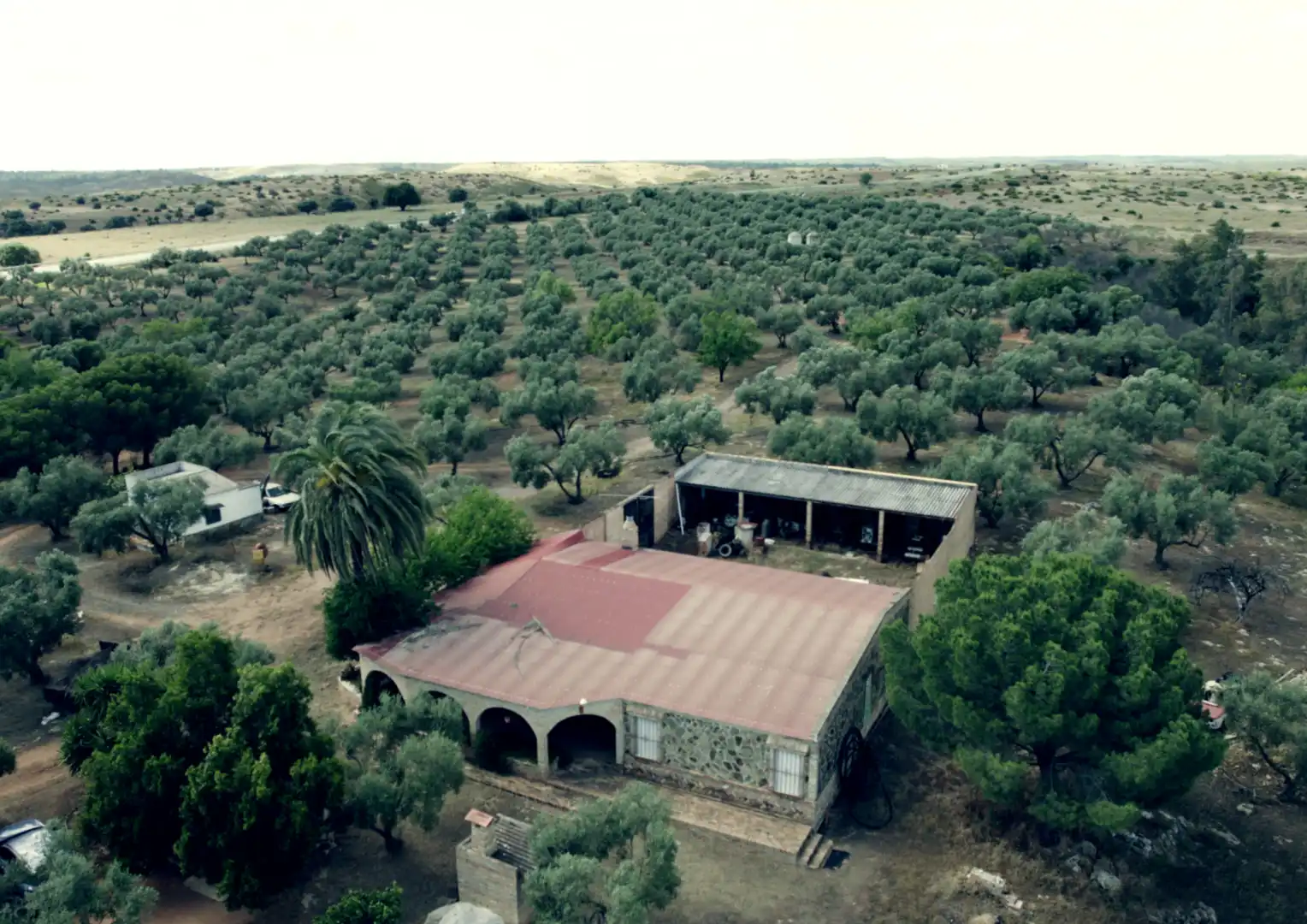 Finca rústica en venta en La Palma del Condado con Jardín privado, Terraza y Trastero