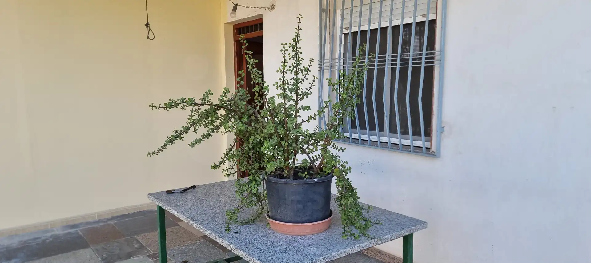 Terrassa de Casa o xalet en venda en Las Torres de Cotillas amb Aire condicionat, Calefacció i Piscina