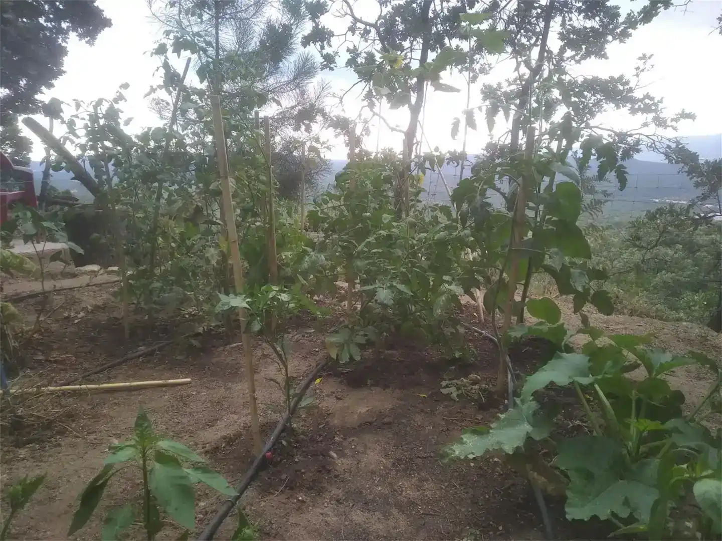 Pis en venda en Piedralaves amb Jardí privat