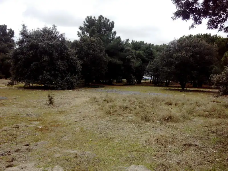 Terreno residencial en venta en Revuelta, imagen 5