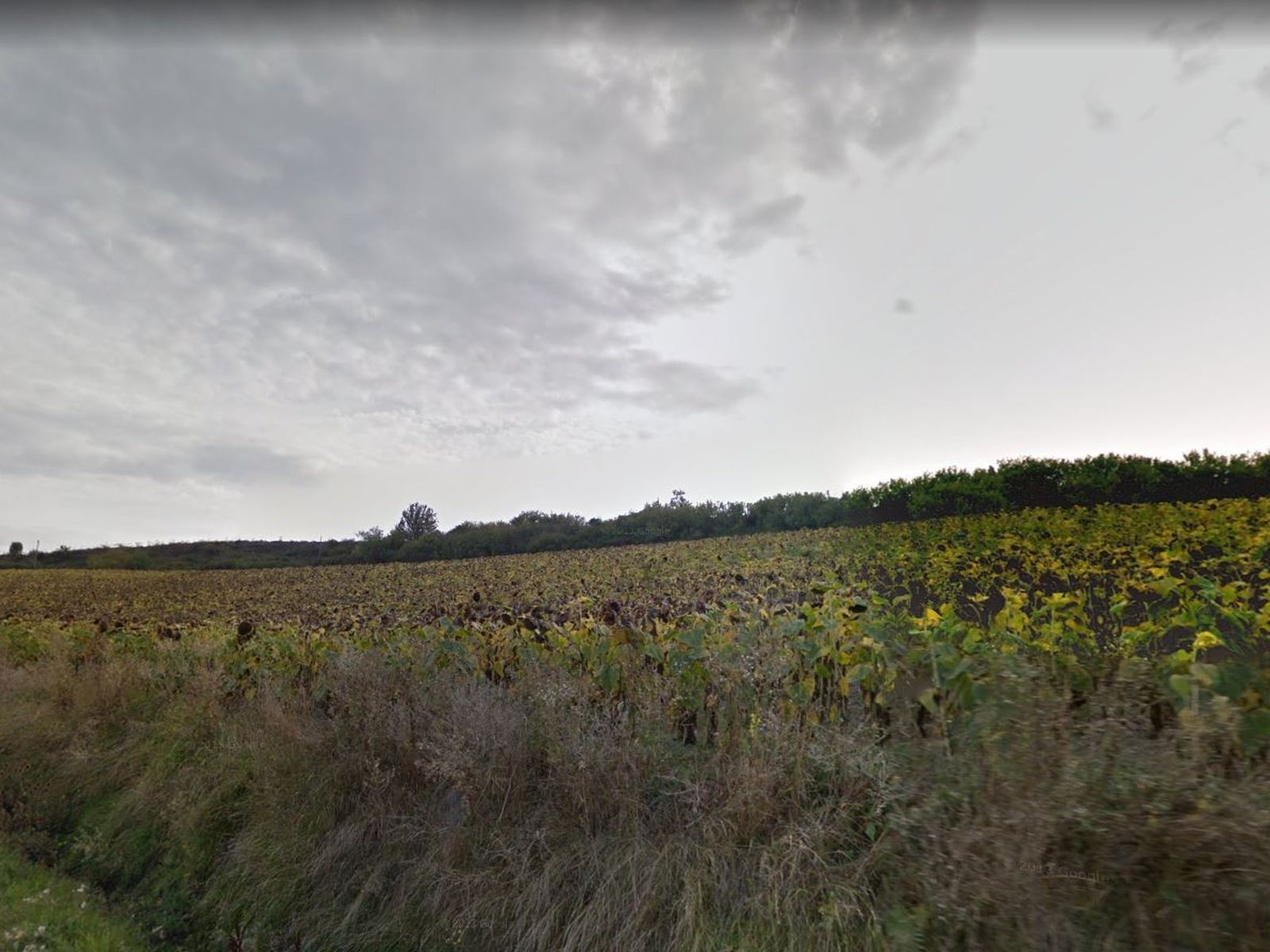 Land for sale in Condado de Treviño