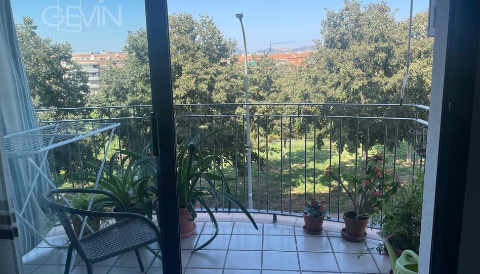 Foto 1 de Piso en venta en Can Palet, Barcelona