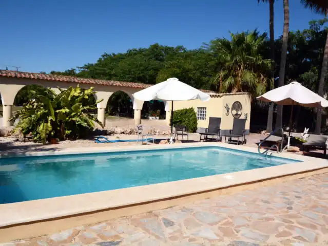 Piscina de Casa o xalet en venda en Alicante / Alacant