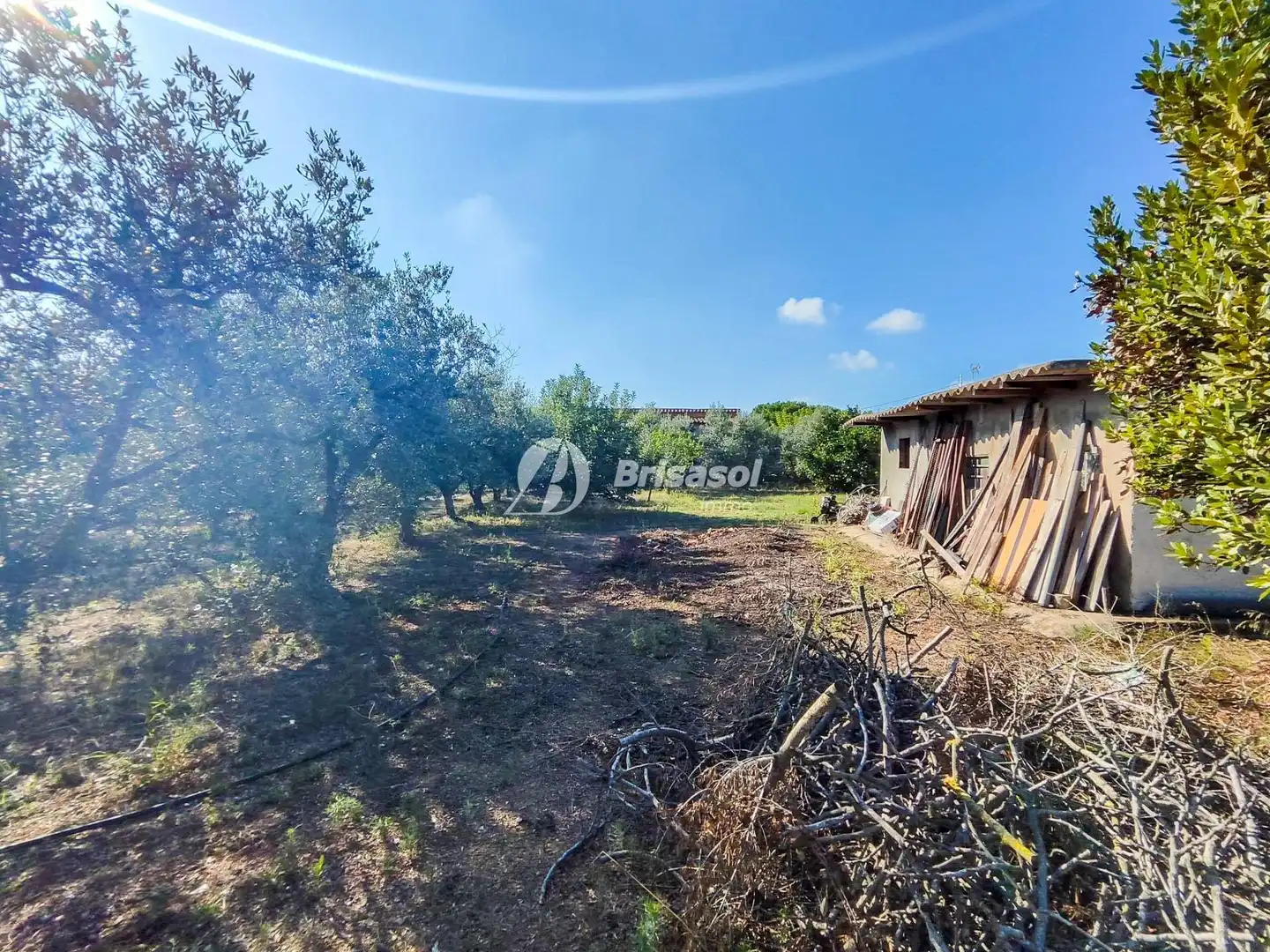 Wohnbaugrundstück zum Verkauf in Llevant, imagen 19