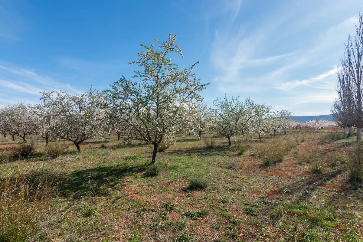 Casa rústica amb jardí en venda a ARDAL. MULA (Murcia), imagen 40