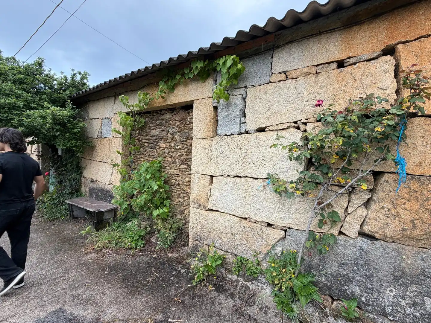 Vista exterior de Casa adosada en venta en Cartelle con Jardín privado, Amueblado y Balcón