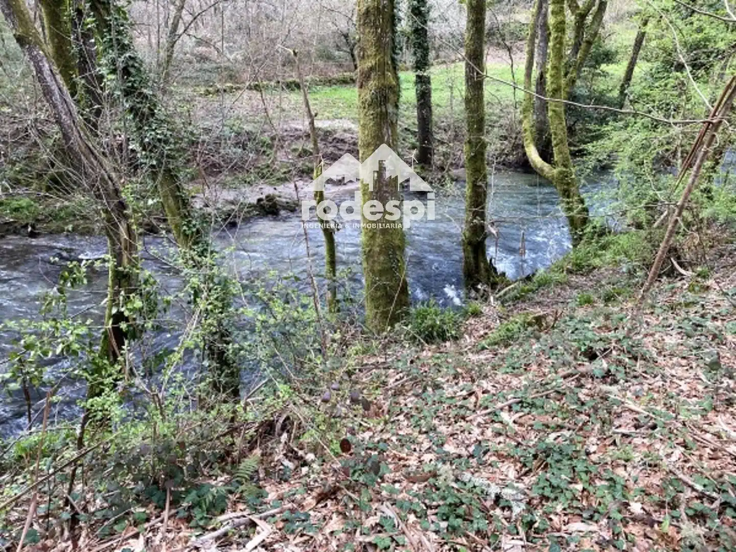 Terreny rústic en venda a A Cañiza, imagen 15