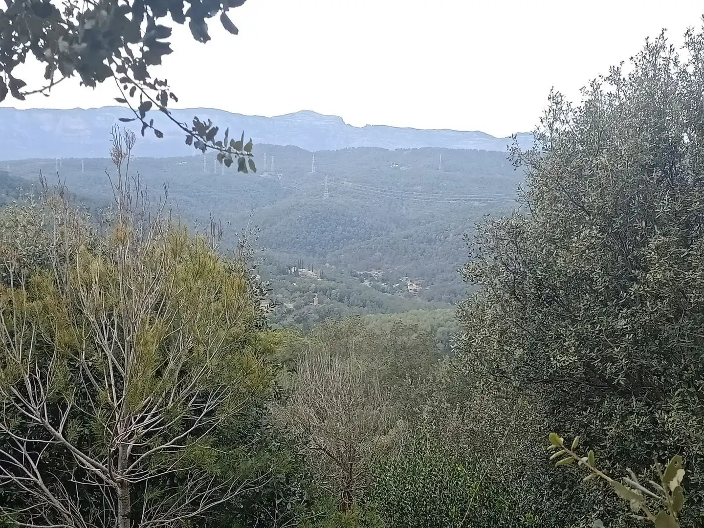 Terrenos y solares en venta en de l'espigol 12, imagen 6