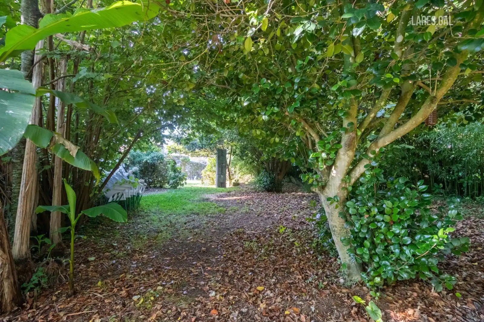 Jardín de Edificio en venta en Cangas 