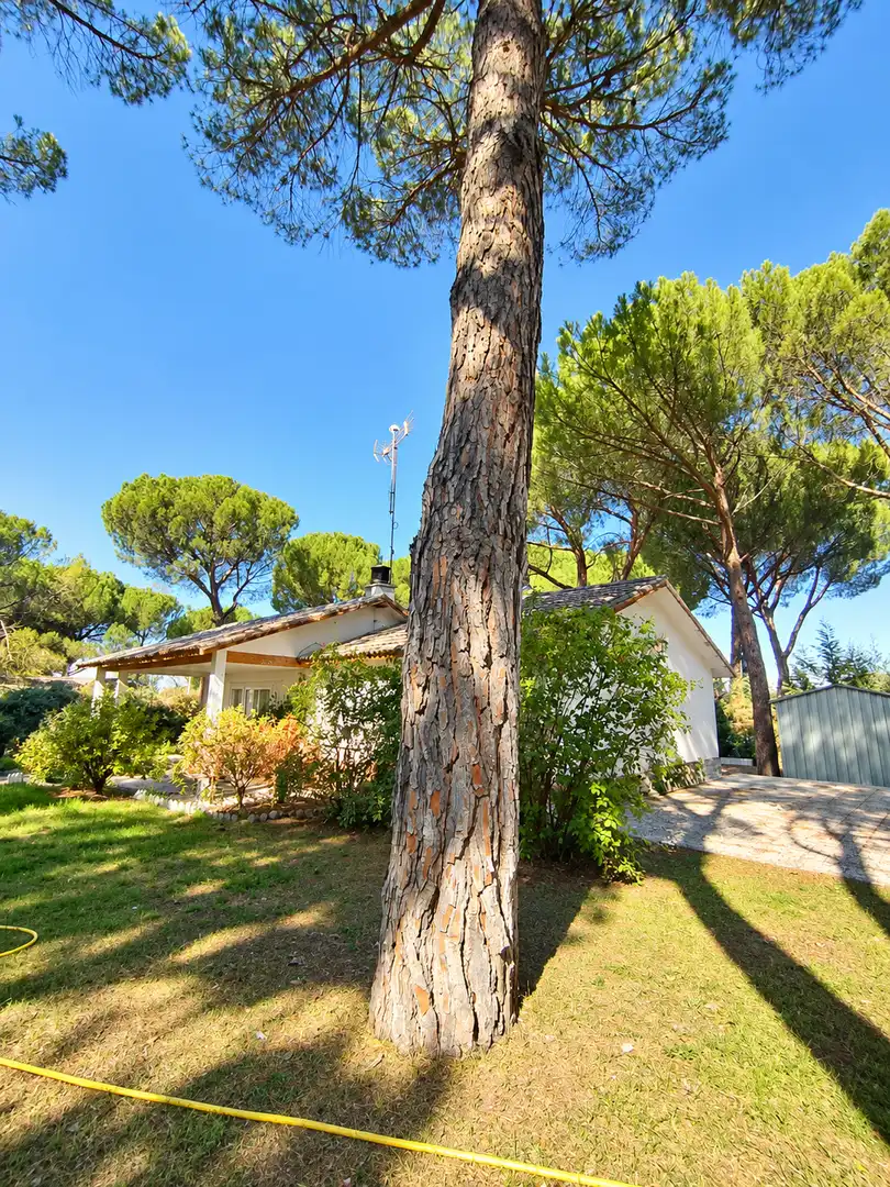 Garden of Houses for sale in Maello, Ávila