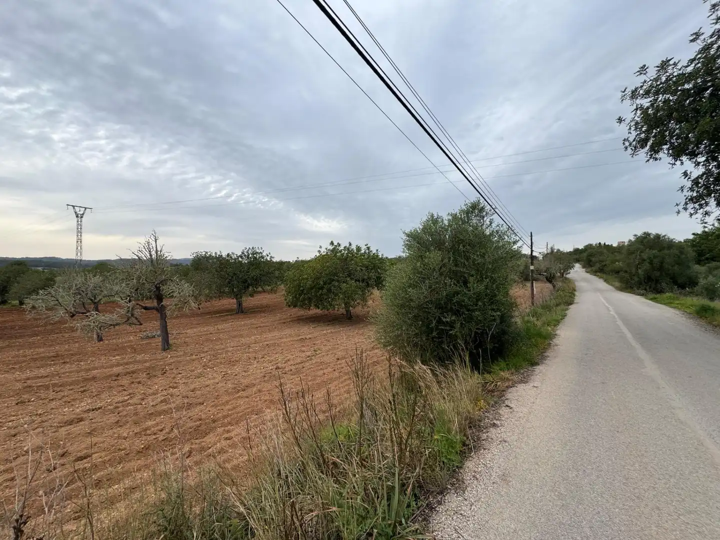 Rustikales Grundstück zum Verkauf in Camino Camí Vell de Porreres 2, imagen 19