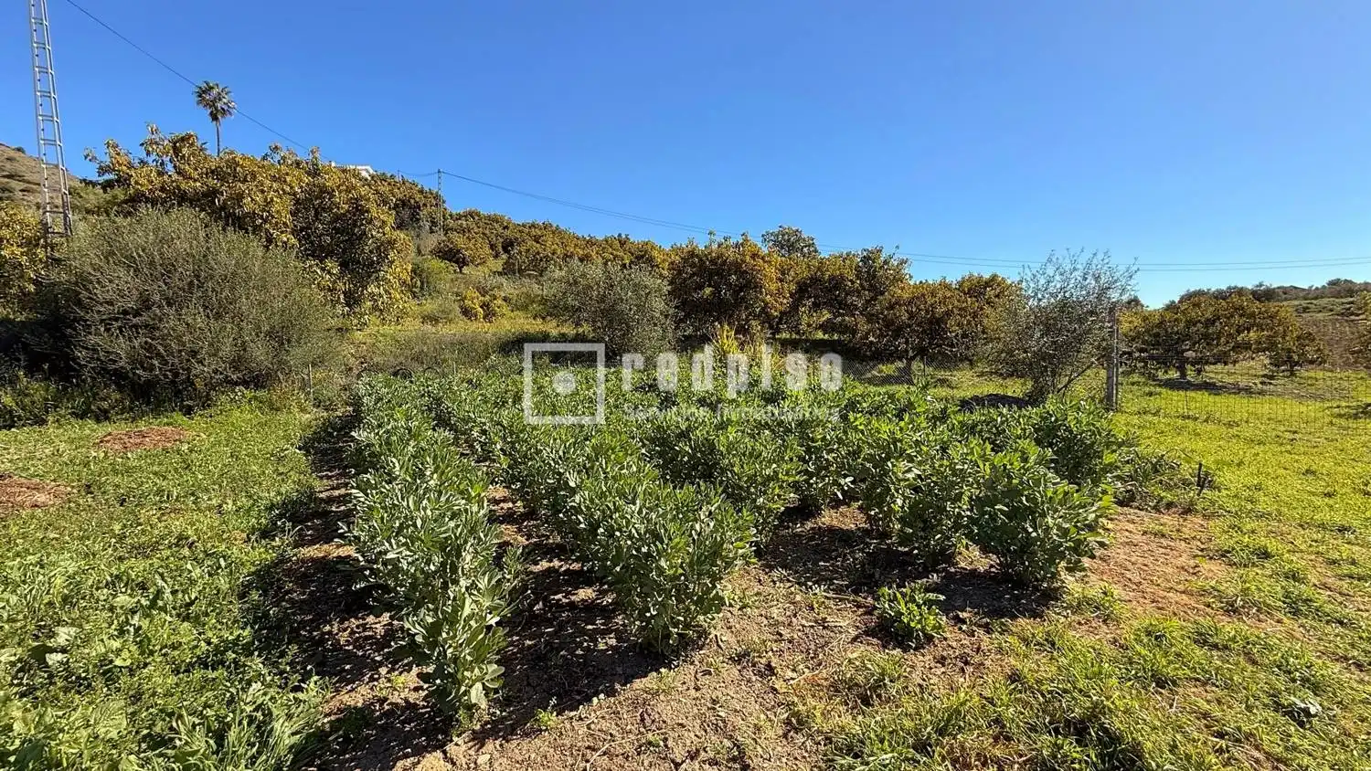 Casa con jardín en venta en Diseminados, imagen 47