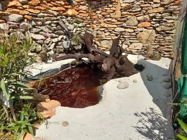 Jardín de Finca rústica en venta en Llíber
