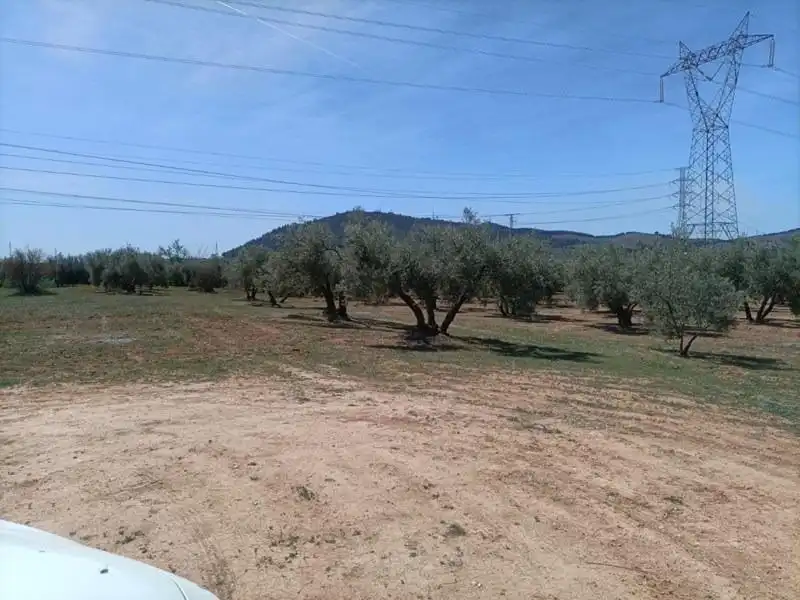Terrenys i solars en venda a Polígono LA ZANJA