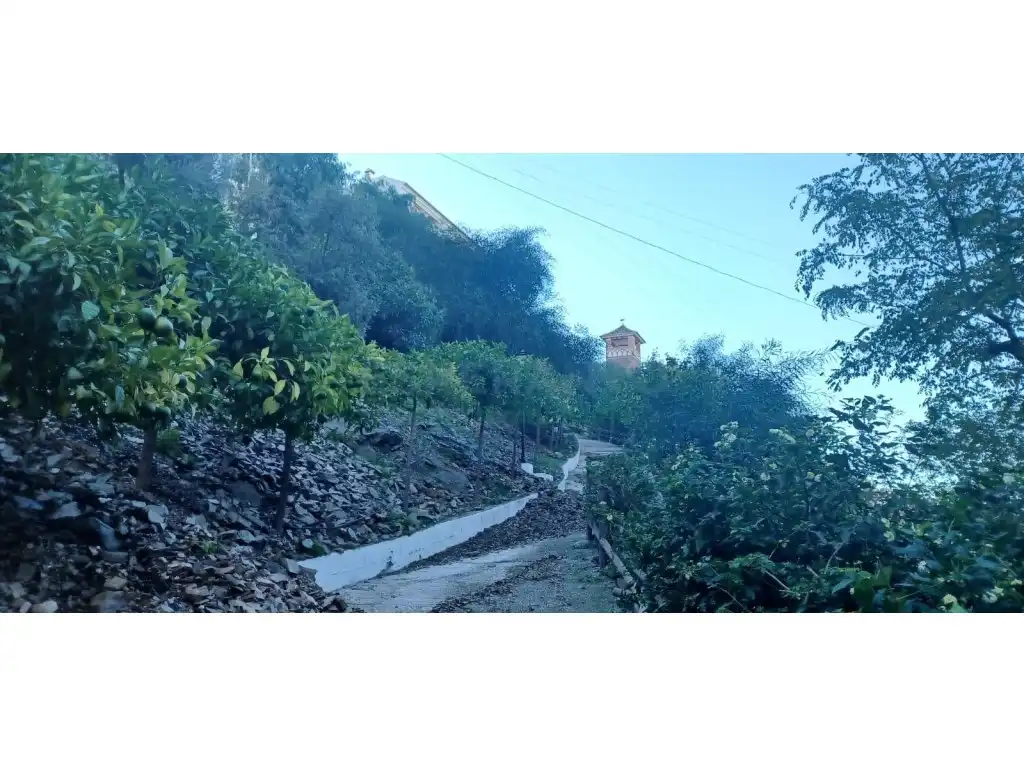 Finca rústica en venta en Totalán con Jardín privado