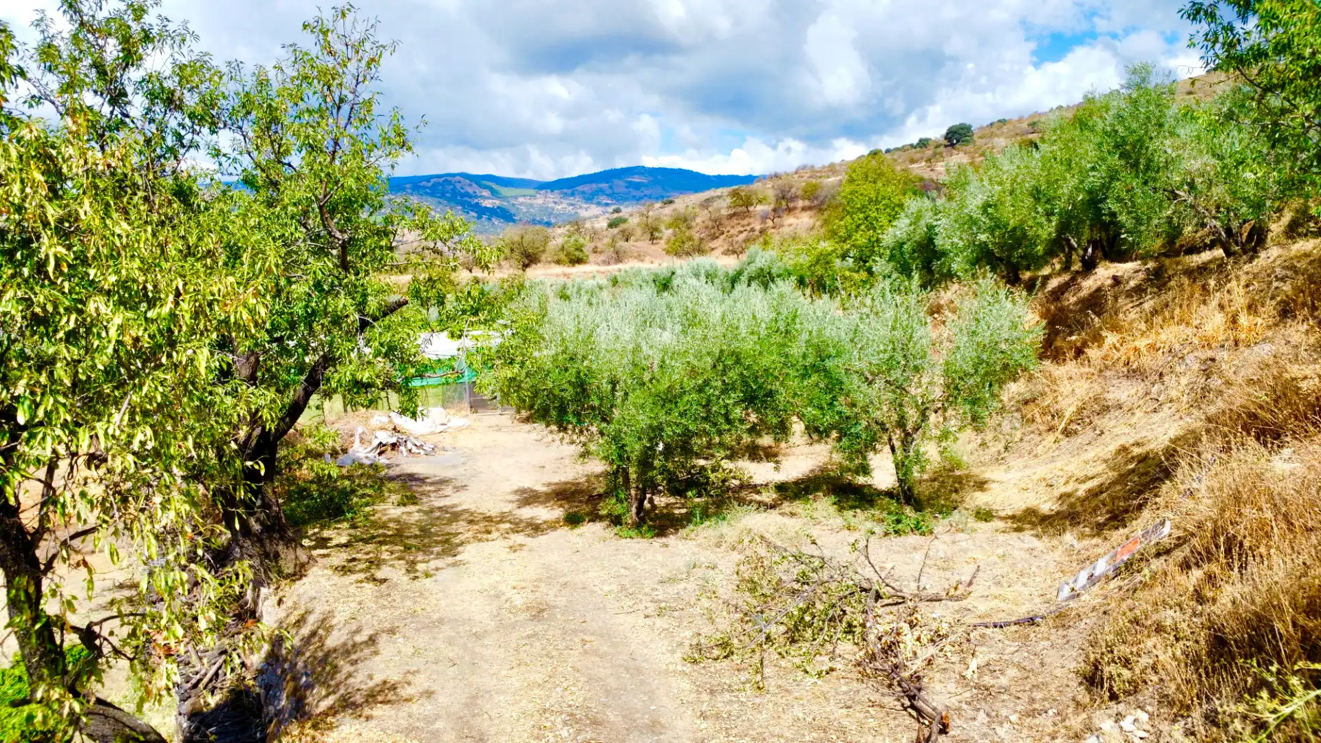 Terreno rustico in vendita a N/A, imagen 27