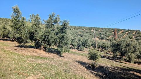 Finca Rúst. en venta en Loja.
