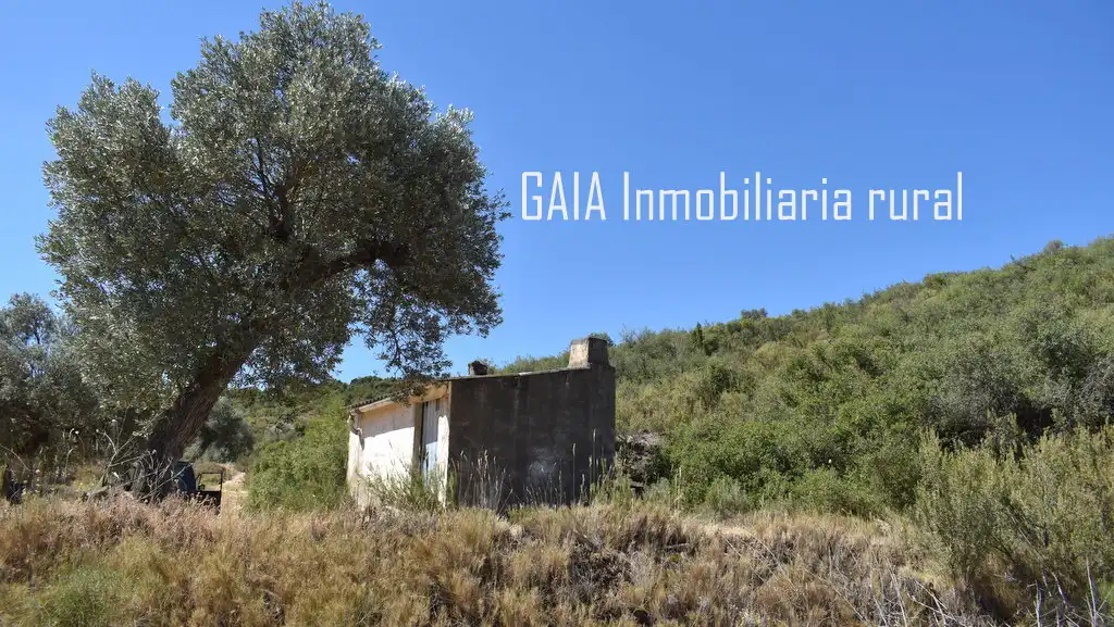 Casa rústica en venda a Maella, imagen 7