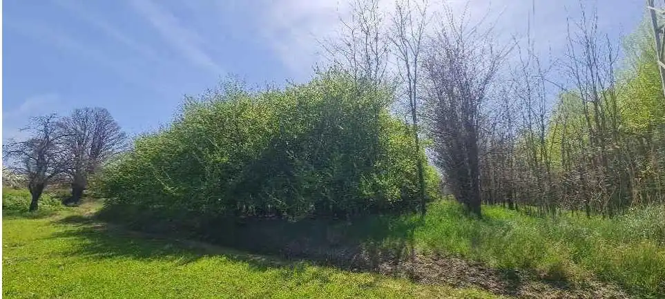 Terreni e lotti in vendita a Guadix